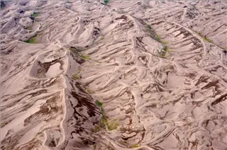 small_ff- Dunes-3.webp